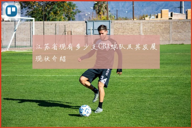 江苏省现有多少支CBA球队及其发展现状介绍