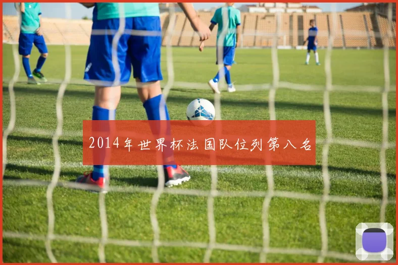 2014年世界杯法国队位列第八名