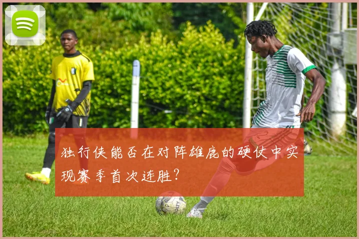 独行侠能否在对阵雄鹿的硬仗中实现赛季首次连胜？